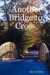 Another Bridge to Cross