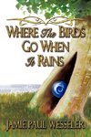 Where The Birds Go When It Rains
