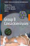 Group B Coxsackieviruses