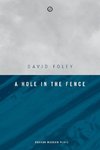 A Hole in the Fence