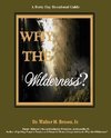 Why the Wilderness