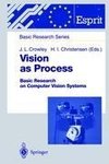 Vision as Process