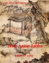 New Aesop Fables   Color Illustrated Edition