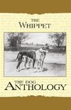 Various: Whippet - A Dog Anthology (A Vintage Dog Books Bree