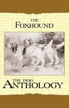 The Foxhound & Harrier - A Dog Anthology (A Vintage Dog Books Breed Classic)