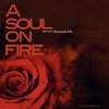A Soul on Fire