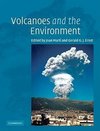 Volcanoes and the Environment