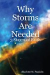 Why Storms Are Needed