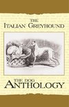 Various: Italian Greyhound