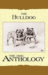 The Bulldog - A Dog Anthology (A Vintage Dog Books Breed Classic)