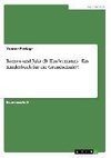 Romeo und Julia (B. Kindermann) - Ein Kinderbuch für die Grundschule?!