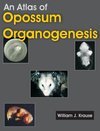 An Atlas of Opossum Organogenesis