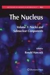 The Nucleus 1