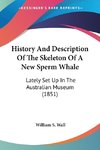 History And Description Of The Skeleton Of A New Sperm Whale