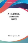 A Waif Of The Mountains (1900)