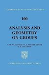 Analysis and Geometry on Groups