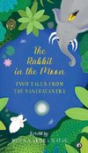 The Rabbit in the Moon