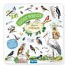 TRÖTSCH - Stickermalbuch Unsere Vogelwelt Malbuch mit Stickern| Ab 5 Jahren