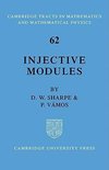 Injective Modules