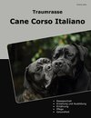 Traumrasse Cane Corso Italiano