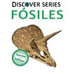 Fósiles