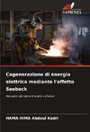 Cogenerazione di energia elettrica mediante l'effetto Seebeck