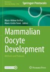 Mammalian Oocyte Development