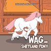 WAG AND SHETLAND PONY