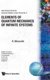 Elements of Quantum Mechanics of Infinite Systems
