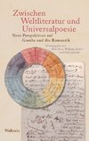 Zwischen Weltliteratur und Universalpoesie