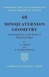 Miniquaternion Geometry