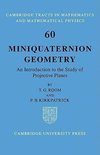 Miniquaternion Geometry