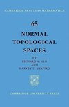 Normal Topological Spaces