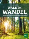 Wald im Wandel