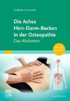 Die Achse Hirn-Darm-Becken in der Osteopathie
