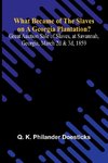 What Became Of The Slaves On A Georgia Plantation? Great Auction Sale Of Slaves, At Savannah, Georgia, March 2D & 3D, 1859