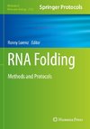 RNA Folding