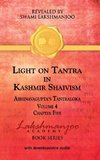 Light on Tantra in Kashmir Shaivism - Volume 4 - Chapter Five