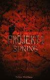 Spring - Projekt I