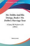 Mr. Dobbs And His Doings, Book 1 Mr. Dobbs's Marriage Tour