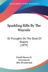 Sparkling Rills By The Wayside
