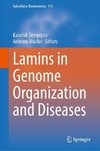 Lamins in Genome Organization and Diseases