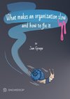 What makes an organization slow and how to fix it
