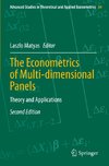 The Econometrics of Multi-dimensional Panels
