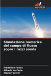 Simulazione numerica del campo di flusso sopra i razzi sonda
