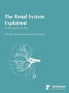 The Renal System Explained
