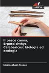 Il pesce canna, Erpetoichthys Calabaricus: biologia ed ecologia