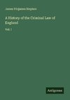 A History of the Criminal Law of England