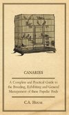 Canaries - A Complete and Practical Guide to the Breeding, Exhibiting and General Management of These Popular Birds