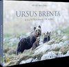 Ursus Brenta - Die Rückkehr der Bären in die Alpen